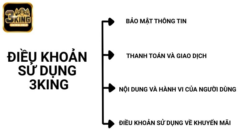 Những chính sách điều khoản sử dụng tại 3KING