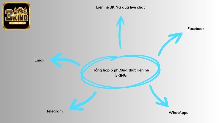 Tổng hợp 5 phương thức liên hệ 3KING